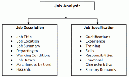 job-description-specification
