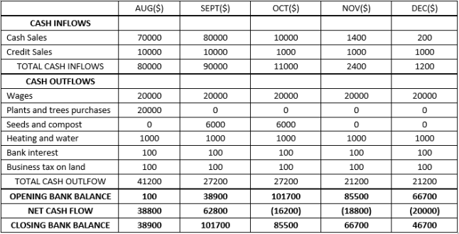 Cash flow forecast