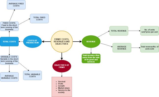 Firms cost and revenue