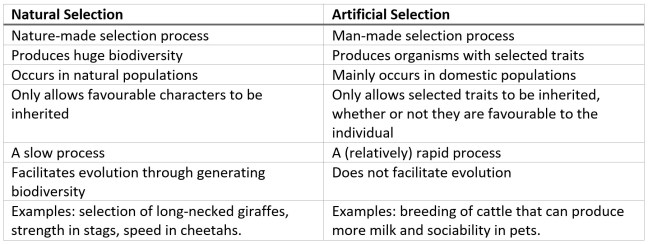 natural selection vs artificial selection table