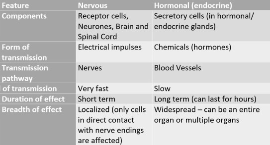 Nervous system vs. Hormonal system